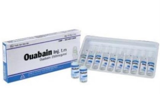 50-thuoc-ouabain-250mcg-1ml 50-thuoc-ouabain-250mcg-1ml