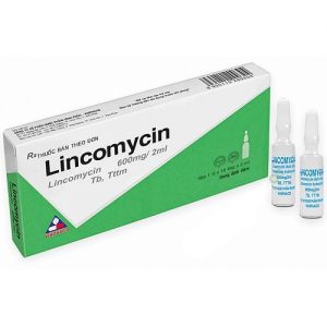 Lincomycin 600mg/ml- Nhà thuốc Thục Anh