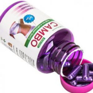 CAMBO CHS - Giảm mỡ máu hiệu quả