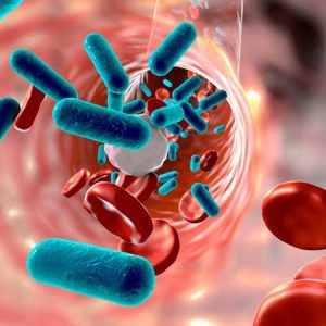 Thuốc Amlevo 500mg là gì ?