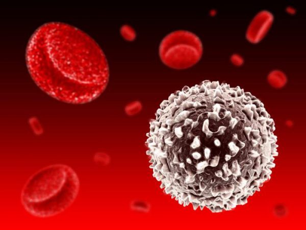 20190731_103859_975884_nhiem-khuan-huyet_max-800x800(11) Cách bảo quản thuốc FixKids 100mg/5ml 30ml