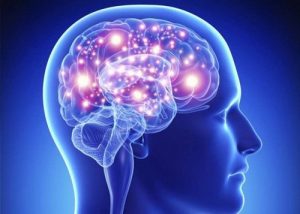 Ginkomise Cap - Điều trị rối loạn chức năng hoạt động của não