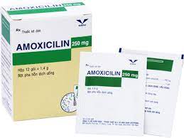 Quy cách đóng gói thuốc Amoxicillin 250mg