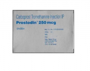 Thuốc Prostodin 250 Mcg/Ml là thuốc gì ?