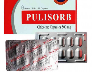 Quy cách đóng gói thuốc Pulisorb 500mg