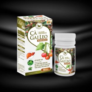 Cà gai leo Hadaco là thuốc gì ?