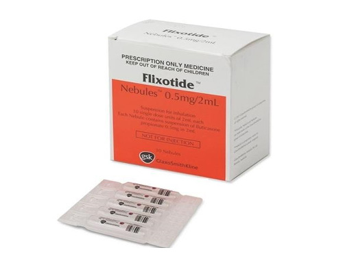 Flixotide Neb. 0,5mg:2ml Thuốc Flixotide Neb. 0,5mg/2ml là thuốc gì ?