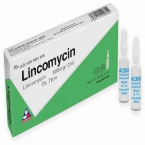 lincomycin- Nhà thuốc Thục Anh