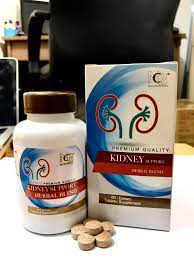 Quy cách đóng gói thuốc Kidney