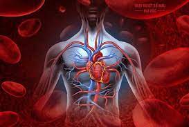 Công dụng của thuốc THÔNG HUYẾT KINGPHAR