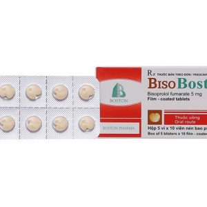 bisoboston-5-2-700x467