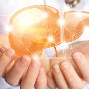 gan Gan là cơ quan lớn trong cơ thể thực hiện đến hơn 500 chức năng khác nhau