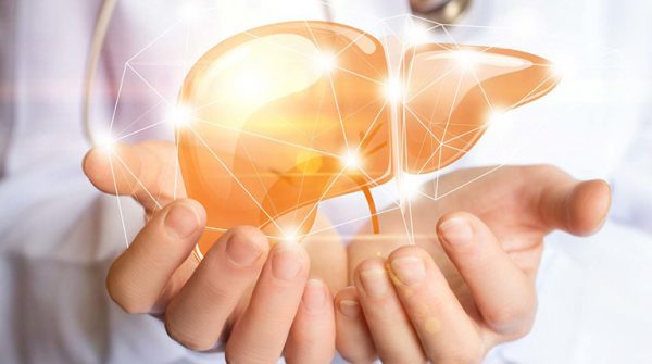 gan Gan là cơ quan lớn trong cơ thể thực hiện đến hơn 500 chức năng khác nhau