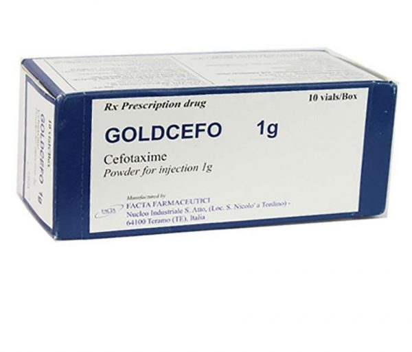 golcefo-4-u8207