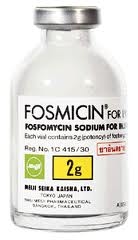 Thuốc Fosmicin 2g là thuốc gì?