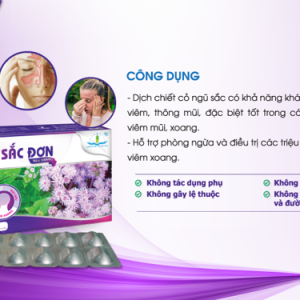 ngu-sac-don_cong_dung__0d6bc9ac5ce949a2b3a1457e4d2bd83e_grande