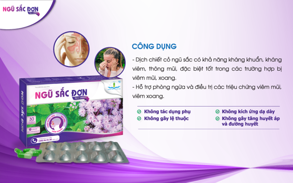 ngu-sac-don_cong_dung__0d6bc9ac5ce949a2b3a1457e4d2bd83e_grande ngu-sac-don_cong_dung__0d6bc9ac5ce949a2b3a1457e4d2bd83e_grande