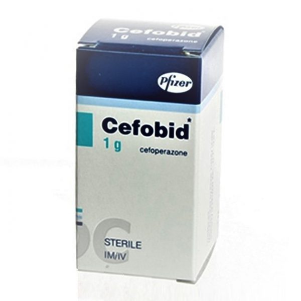 thuoc-cefobid-1g