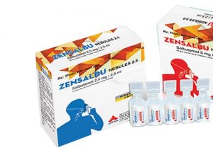 Zensalbu Nebules 2.5 diieefu trị bệnh gì