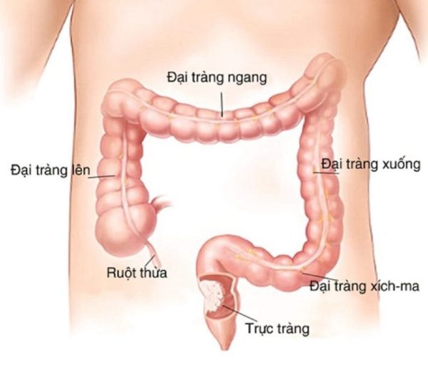 nhuan-trang-la-gi nhuan-trang-la-gi