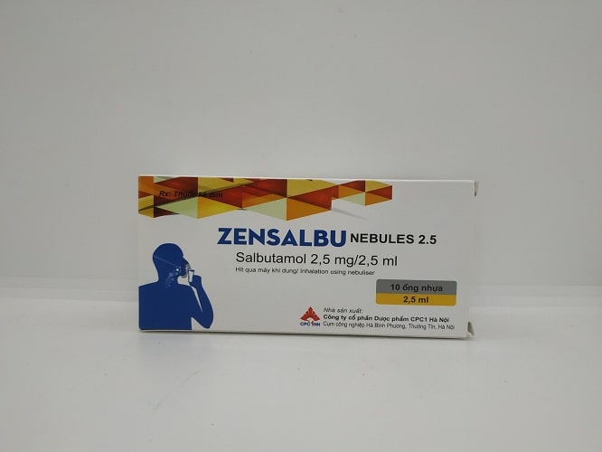 Zensalbu Nebules 2.5 của công ty nào 